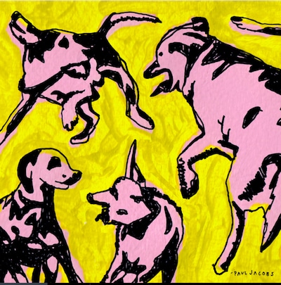 PAUL JACOBS: PINK DOGS ON THE GREEN GRASS